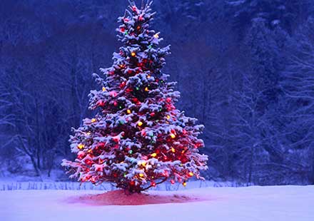 Happy Christmas from Luxury Villas Turkey
